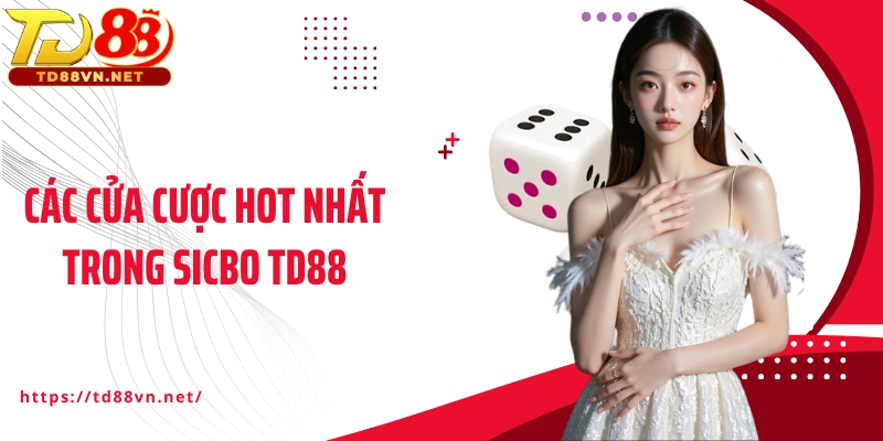 Các cửa cược hot nhất trong Sicbo TD88