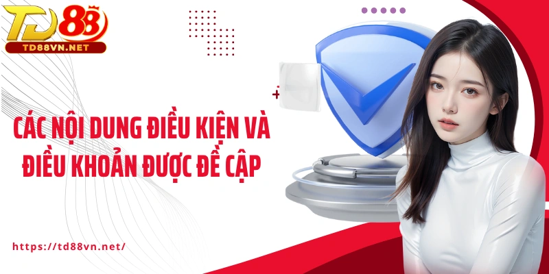 Các nội dung điều kiện và điều khoản được đề cập