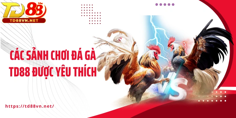 Các sảnh chơi đá gà TD88 được yêu thích