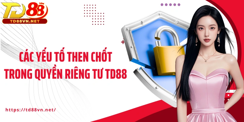 Các yếu tố then chốt trong quyền riêng tư TD88