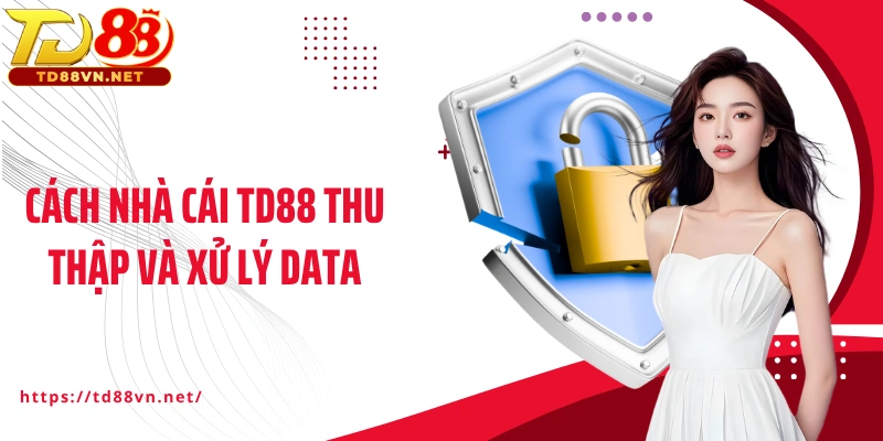 Cách nhà cái TD88 thu thập và xử lý data