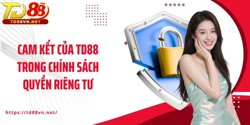 Cam kết của TD88 trong chính sách quyền riêng tư