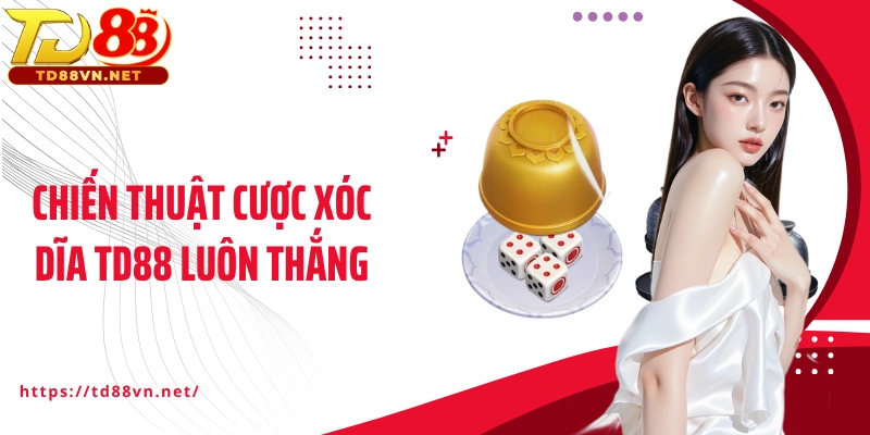 Chiến thuật cược Xóc dĩa TD88 luôn thắng