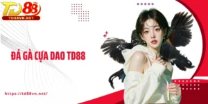 Đá Gà Cựa Dao TD88