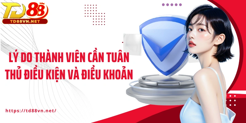 Lý do thành viên cần tuân thủ điều kiện và điều khoản