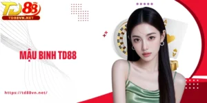 Mậu Binh TD88