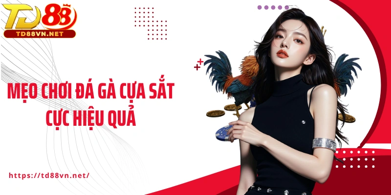 Mẹo chơi đá gà cựa sắt cực hiệu quả