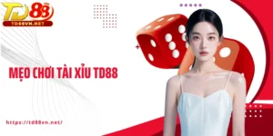 Mẹo Chơi Tài Xỉu TD88
