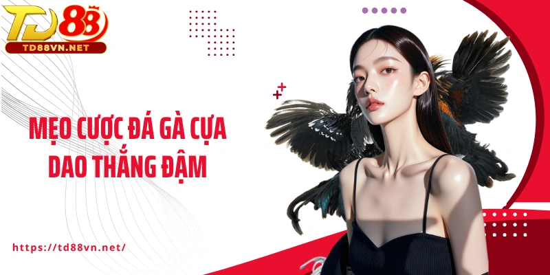 Mẹo cược đá gà cựa dao thắng đậm