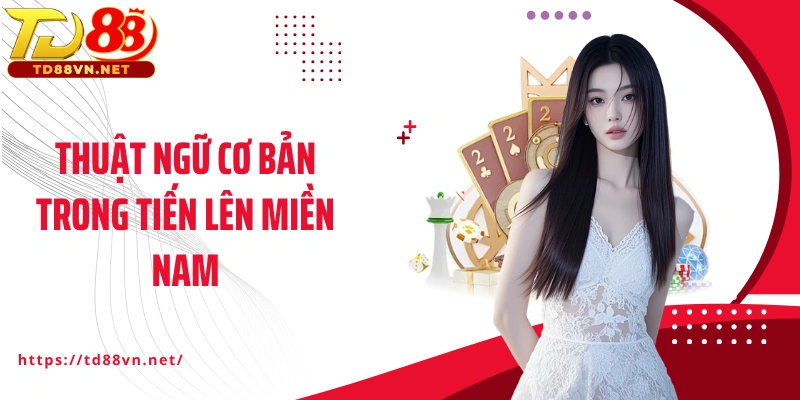 Thuật ngữ cơ bản trong Tiến lên miền Nam