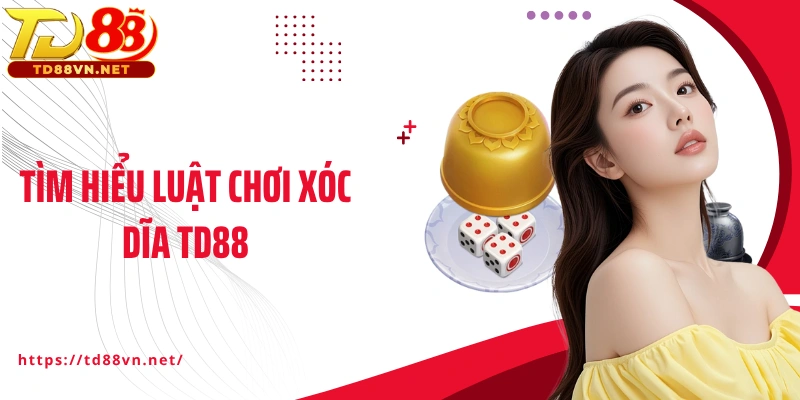 Tìm hiểu luật chơi Xóc dĩa TD88