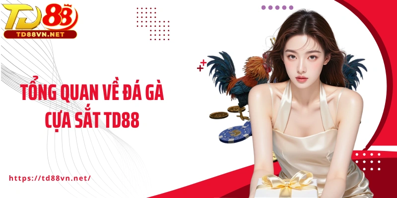 Tổng quan về đá gà cựa sắt TD88