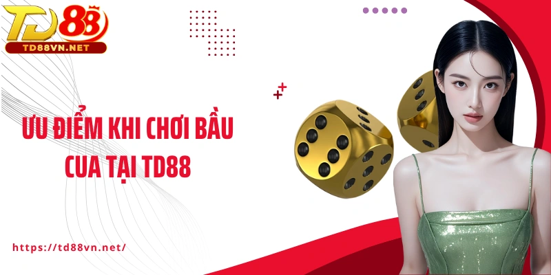 Ưu điểm khi chơi Bầu cua tại TD88